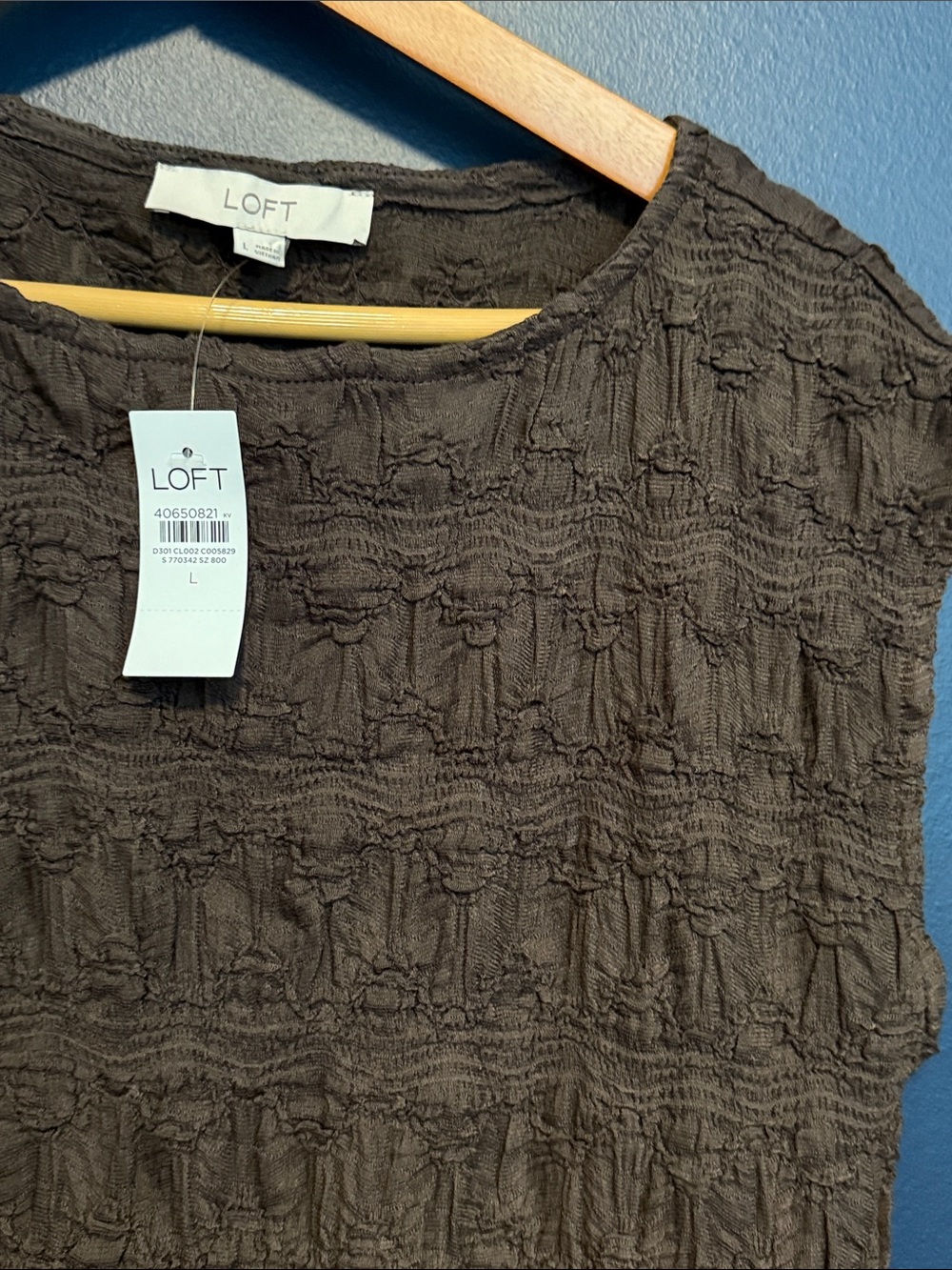 LOFT Crinkle Textured Sleeveless Top in Chocoalte brown
